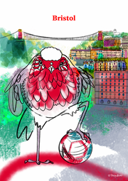 Bristol Print, Bristol City Football Poster