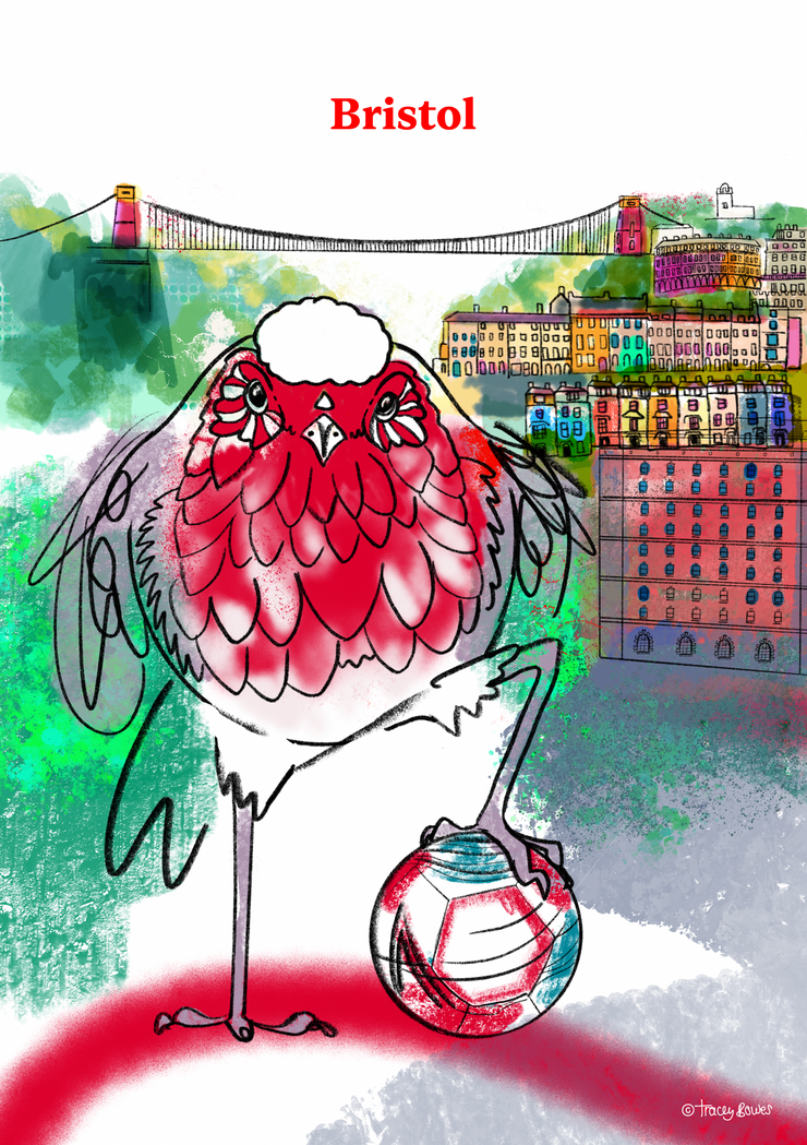 Bristol Print, Bristol City Football Poster