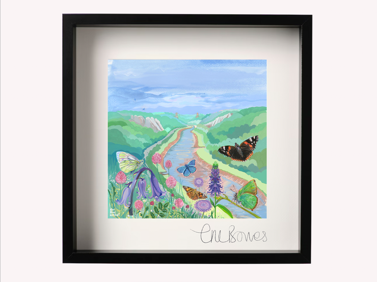 Bristol Print, Butterflies over the Avon Gorge