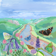 Bristol Print, Butterflies over the Avon Gorge