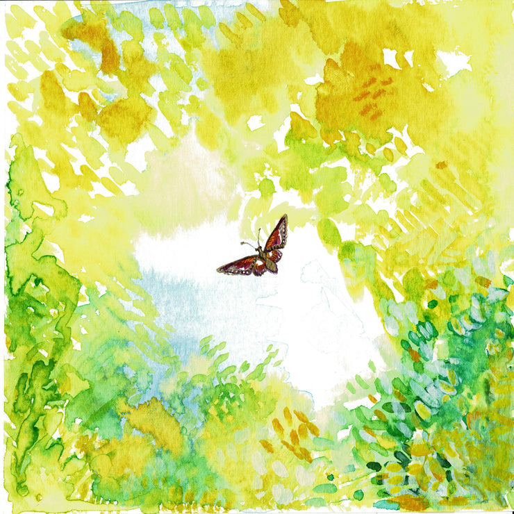 Blue Skies, Moth - The Fine Artist ® - Tracey Bowes