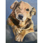 Max Dog Portrait. Thefineartistshop.com